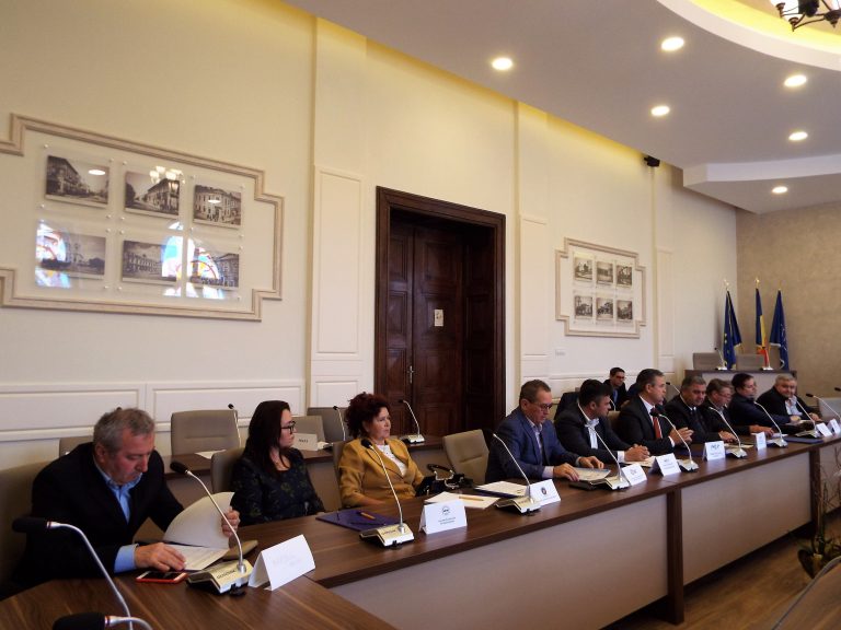 FORTELE PATRONALE SI PROFESIONALE DIN ROMANIA STRANG RANDURILE