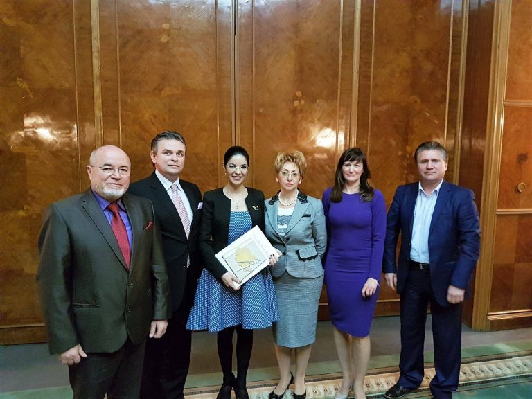Ana Birchall: Încurajăm o implicare cât mai activă a mediului de afaceri atât în dezbaterile publice cât și în dialogul formal cu instituțiile publice