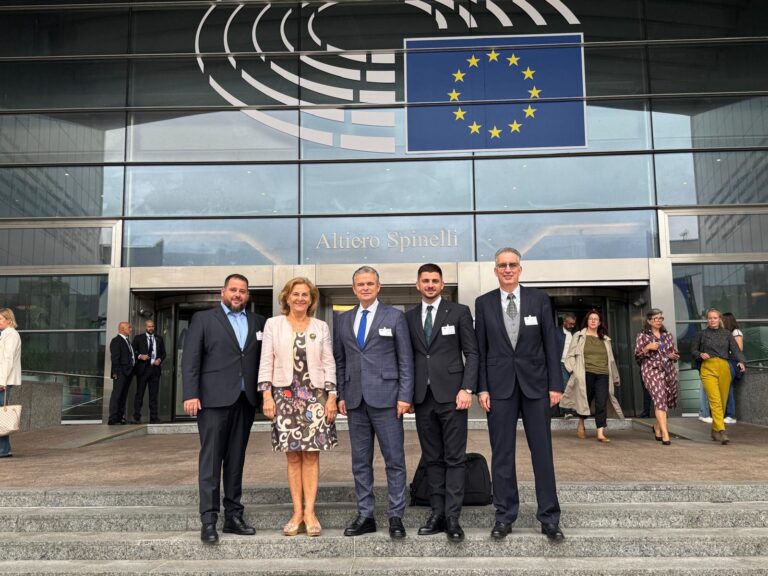 Uniunea Națională a Patronatului Român în Parlamentul European